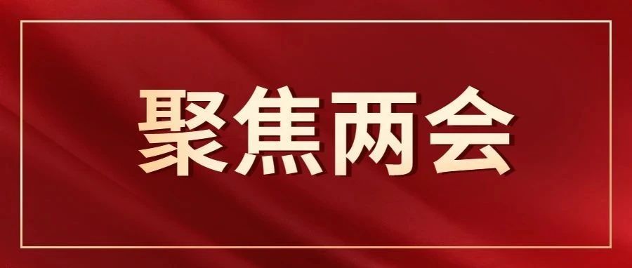 细数政府工作报告中的“法治元素”